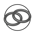 Seals Image